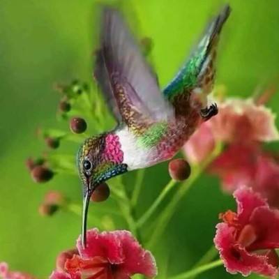 pg棋牌软件平台官方版下载